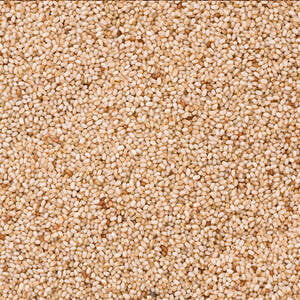 Teff Grain Ivory